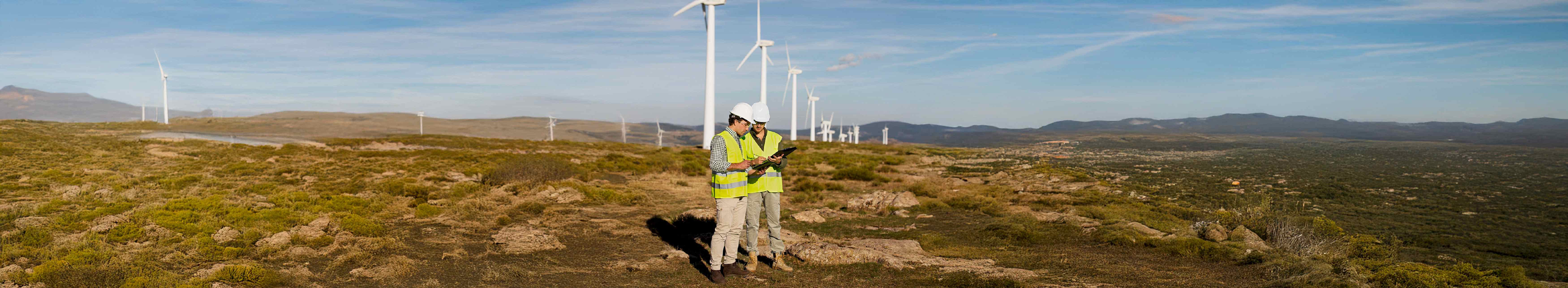 Sürdürülebilirlik Yönetimi